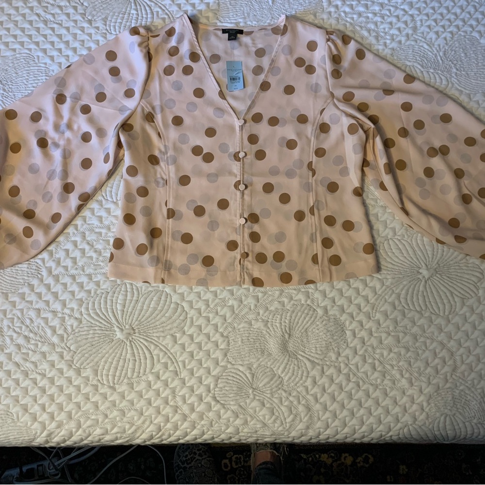 Brown/Peach Polka Dot Blouse - M Petite